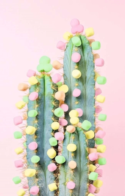 Puzzle RAVENSBURGER Puzzle Moment : Cactus 200 pièces