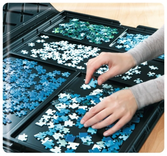 Ravensburger magasin de puzzles