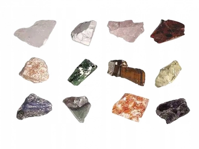 Pierres de fouilles pour petits archéologues