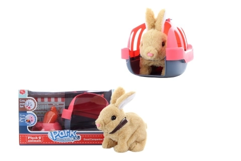 Lapin à piles avec caisse de transport