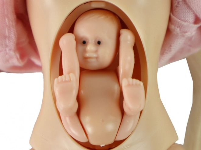 Grossesse interactive