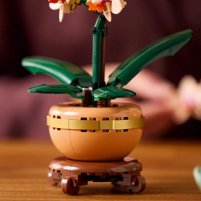 Lego Botanicals Petite Orchidée