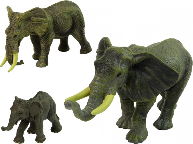 Éléphants réalistes à la texture détaillée