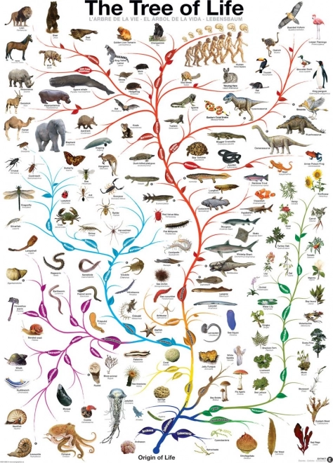 Puzzle EUROGRAPHICS L’Arbre de la vie 1000 pièces
