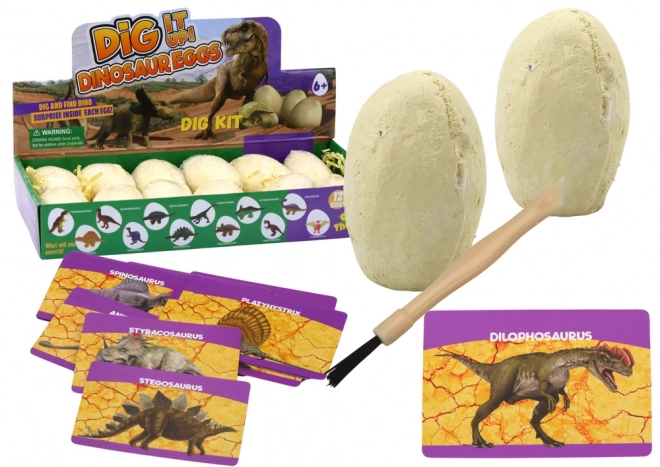 Kit Archéologique Œufs de Dinosaures Cartes 12 pièces