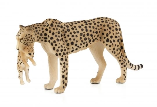 Mojo Guépard avec son petit