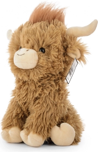 Apparence authentique de la vache Highland