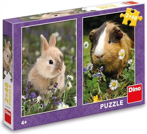 Deux motifs adorables dans un seul coffret