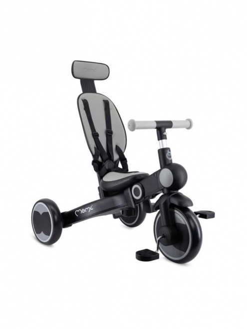 Tricycle pour enfants MoMi Solivia gris