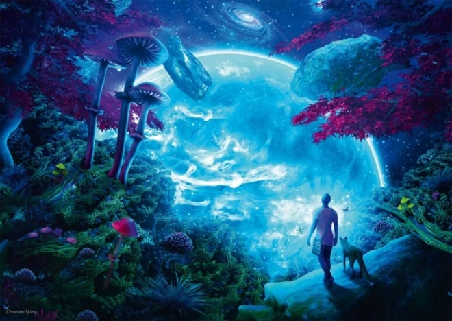 Puzzle Schmidt Ciel étoilé 1000 pièces