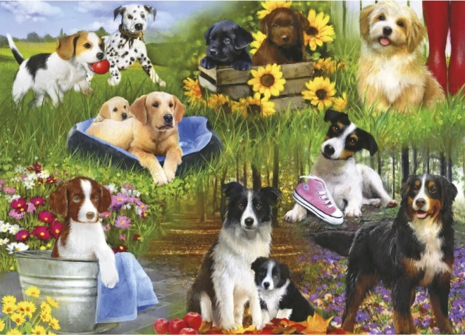 Puzzle assemblons ensemble : chiens 24 pièces