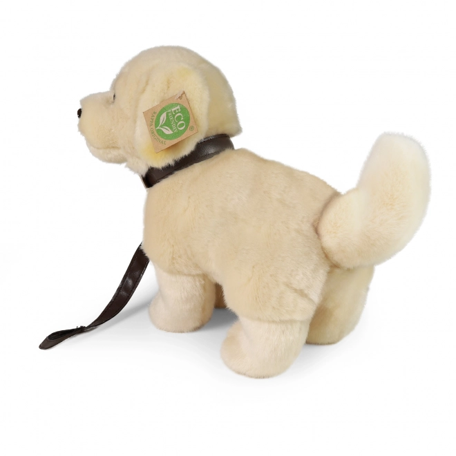 Chien en peluche Golden Retriever avec laisse 25 cm