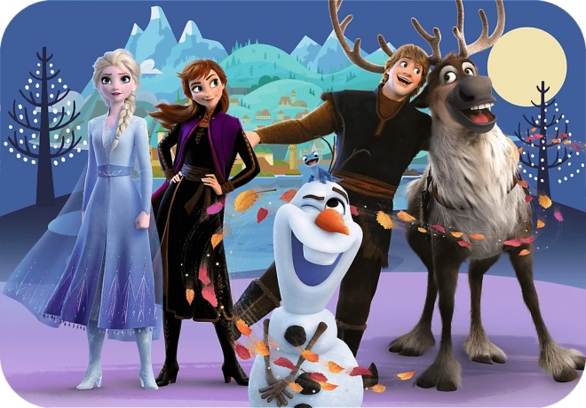 Puzzle en bois Le Royaume de Glace 24 pièces