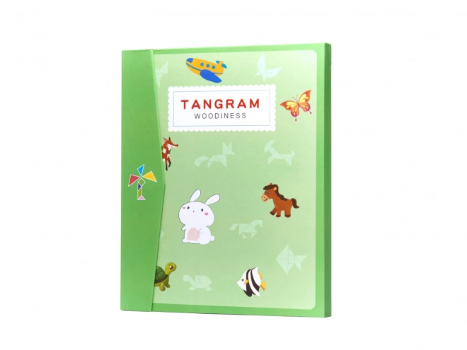 Puzzle magnétique 3D blocs tangram