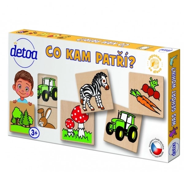 Jeu didactique - Qu'est-ce qui va où ? 36 pièces