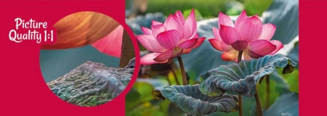 Puzzle Fleurs de lotus roses 500 pièces