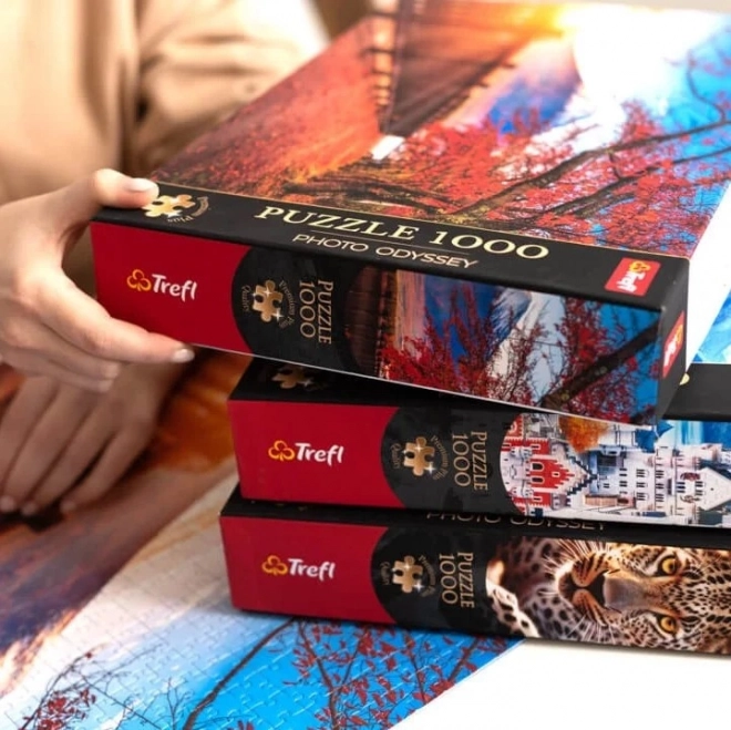 TREFL Puzzle Premium Plus Photo Odyssey: Château de Neuschwanstein 1000 pièces