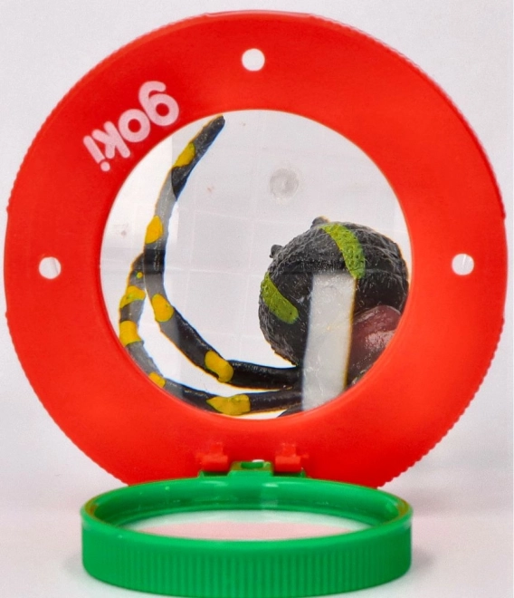 Boîte à insectes avec loupe