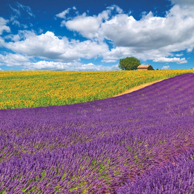 Calendrier à notes Provence 2026