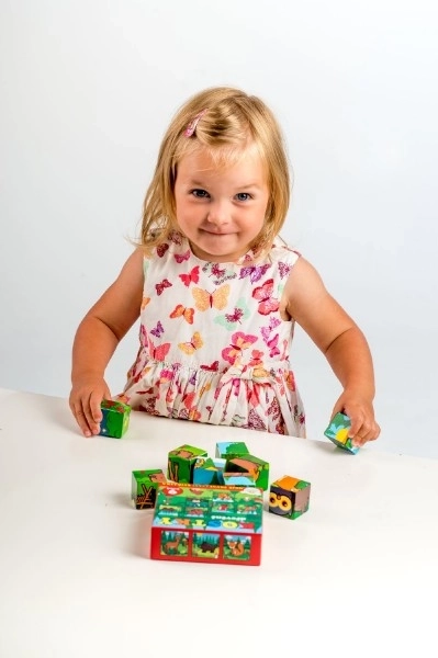 Cubes Kubus Mes Premiers Animaux Bois