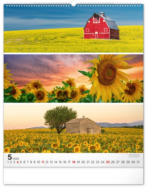 NOTIQUE Calendrier mural Palette 2025, 48 x 56 cm
