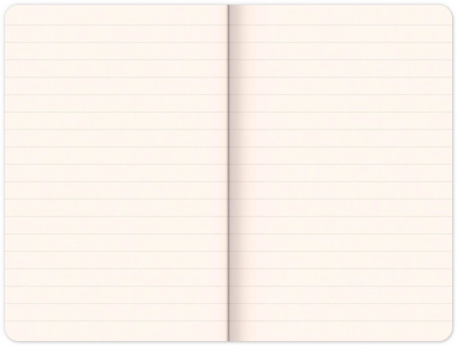Carnet Batman – Force, lign9e