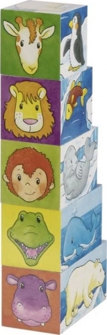 Blocs en bois Safari et Arctique, 5 blocs