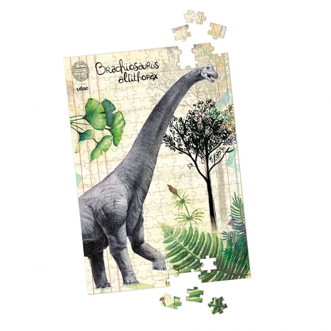 Vilac ensemble de trois puzzles avec dinosaures