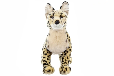 Chat en peluche de savane 50 cm
