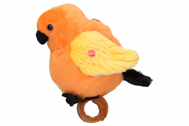 Oiseau répétiteur à main 17 cm