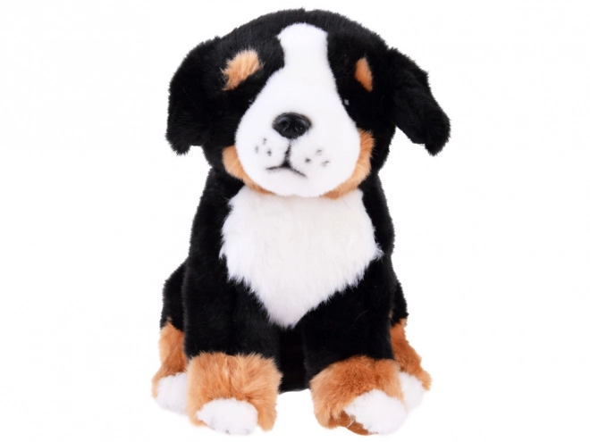 Chien en peluche Bouvier bernois - assis 20 cm