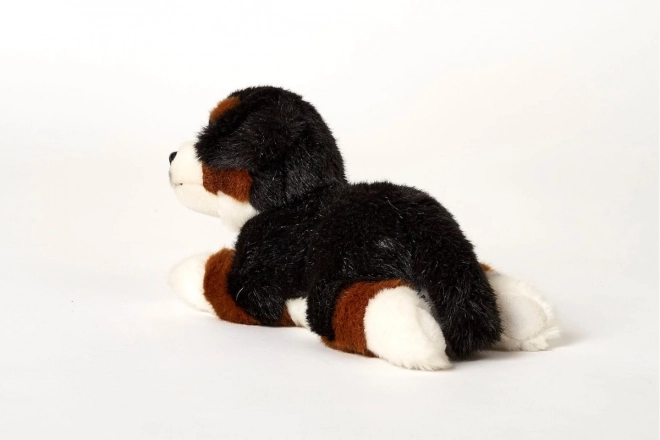 Chien de montagne bernois en peluche 25 cm