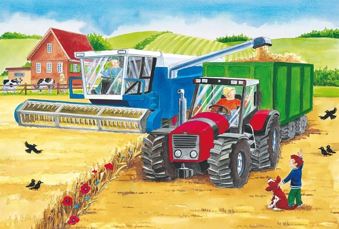 Ferme vivante en action