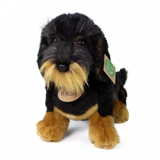 Teckel à poil dur en peluche assis 30 cm ECOLOGIQUE