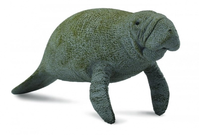 COLLECTA Lamantin