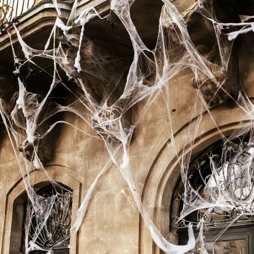Toile d'araignée artificielle d'Halloween avec araignées