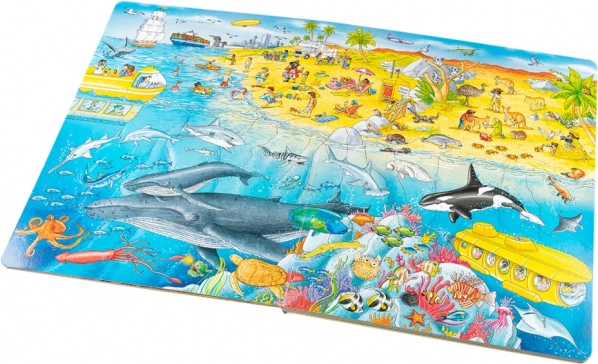 Aventures au bord de la mer et dans l’océan
