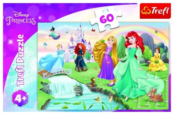 Puzzle Découvrez les princesses 33x22cm 60 pièces dans une boîte 21x14x4cm
