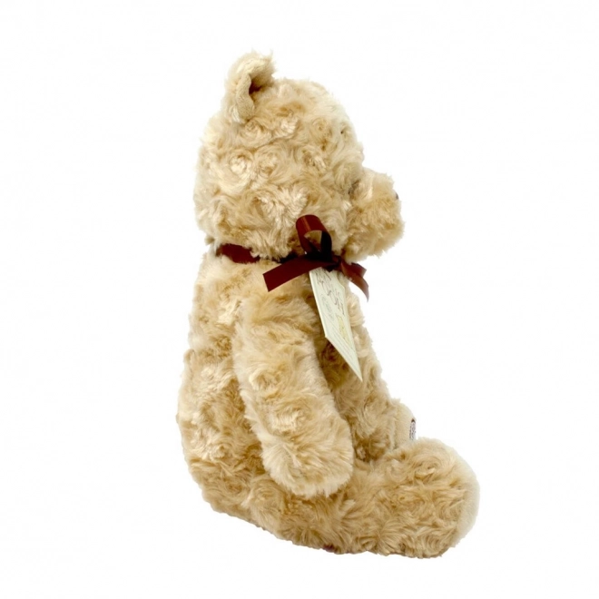 Nounours Peluche Rainbow Winnie l'Ourson de la Forêt des Cent Acres