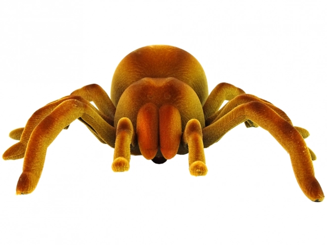 Tarantula télécommandée infrarouge marron R/C