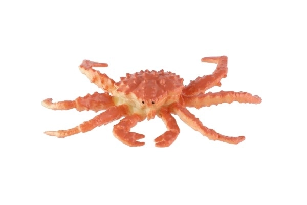 Créatures marines en plastique 8-10 cm mélange de types dans une boîte