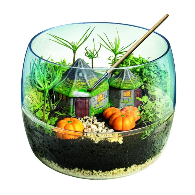 Terrarium Harry Potter : La cabane de Hagrid