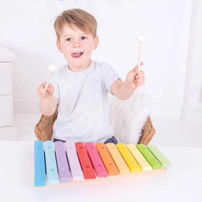 Bigjigs Toys Xylophone en bois
