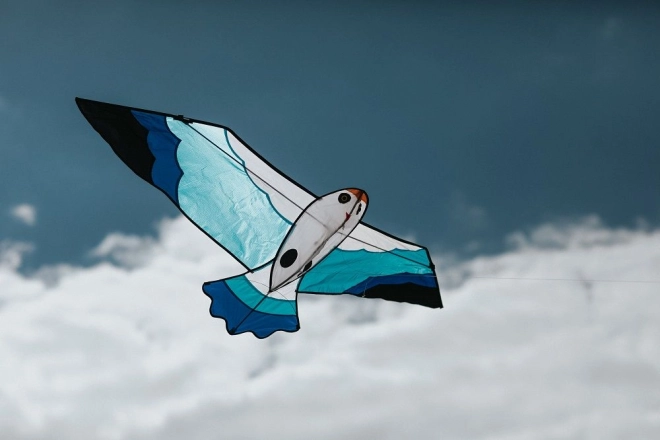 Idéal pour vents de 2–5 Bft