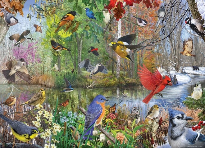 Puzzle Cobble Hill oiseaux au fil des saisons 1000 pièces