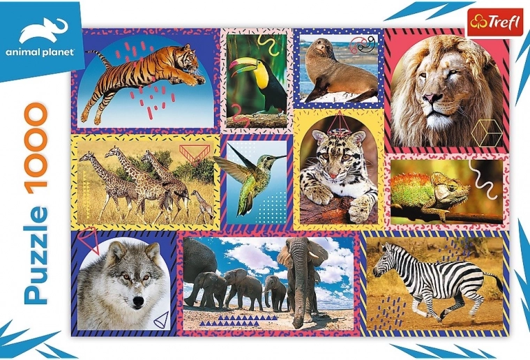 1000 pièces pour un défi agréable