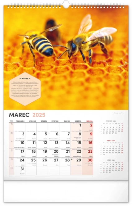 Calendrier mural NOTIQUE Apiculture 2025, 33 x 46 cm