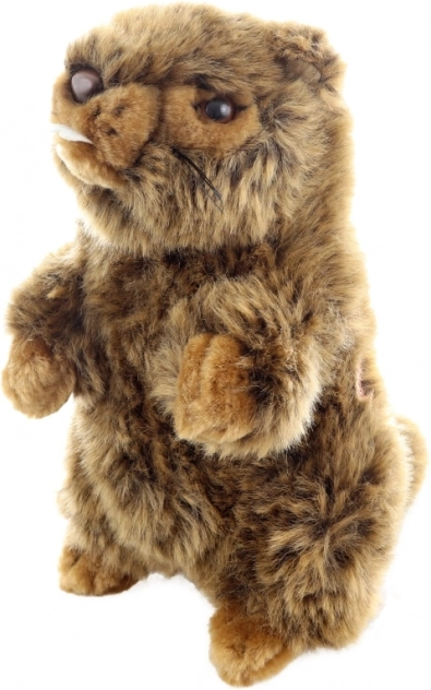 Marmotte en peluche avec son Eco-Friendly