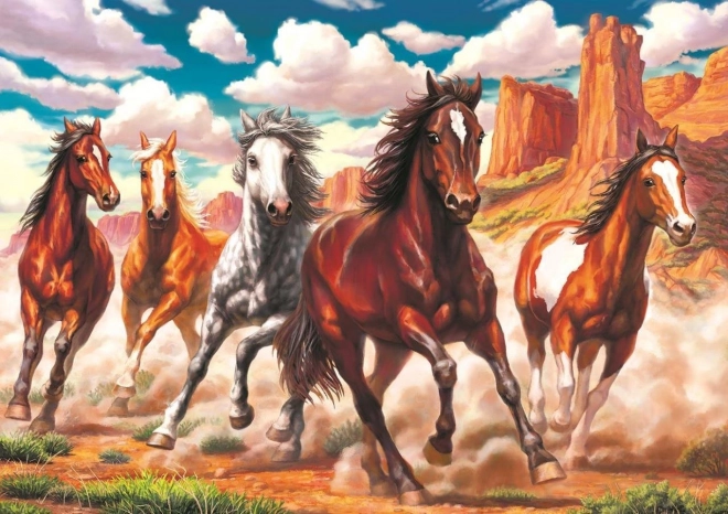 Puzzle Chevaux sauvages dans la vallée 1000 pièces