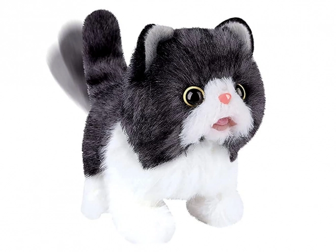 Chaton Interactif Psotek Cherche Maman